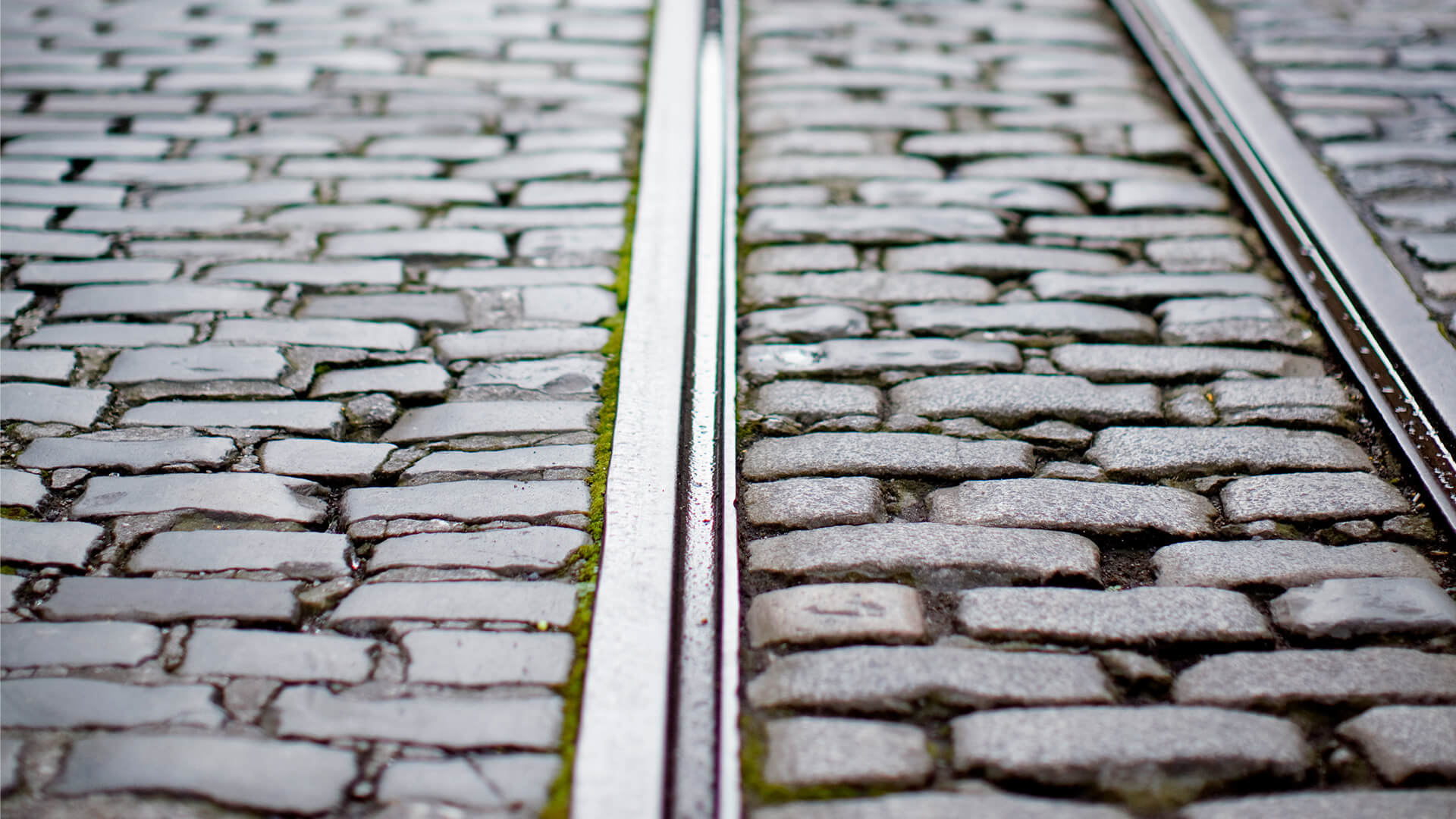 A close-up of metal tram tracks set in cobblestones